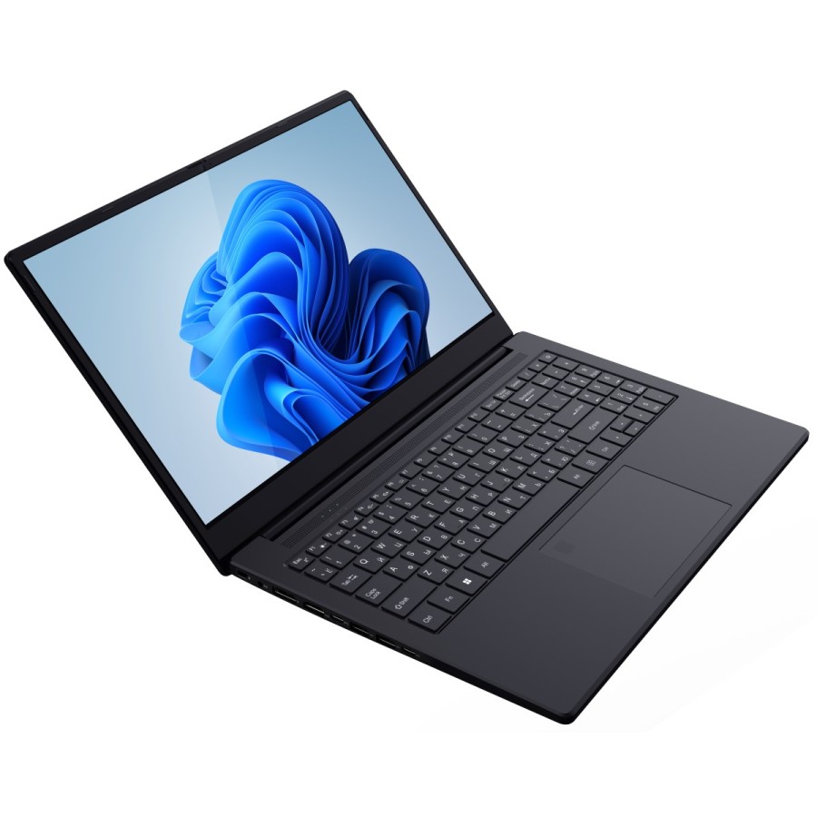 Rikor NINO 201.2 AMD Ryzen 5 5500U 2100MHz/15.6"/1920x1080/16GB/512GB SSD/AMD Radeon RX Vega 7/Wi-Fi/Bluetooth/Windows 11 Pro (C8F16FC6) Black