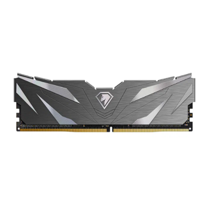 NETAC Shadow II,8Gb DDR4, 2666Mhz, PC21300, C19 (NTSWD4P26SP-08K)