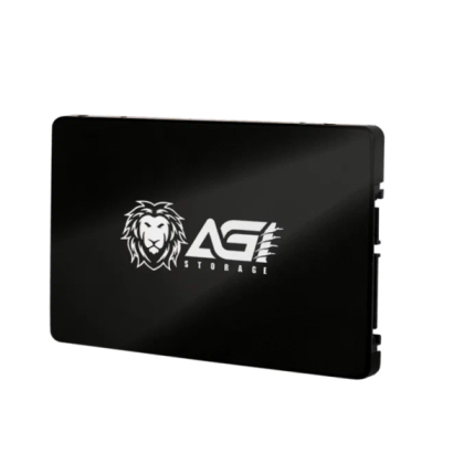 AGI 120 ГБ (AGI120G06AI138)
