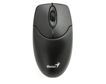 Genius NetScroll 120 V2 (31010018400) Черный