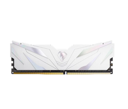 Netac Shadow II 16Gb DDR4 2666MHz (NTSWD4P26SP-16W)