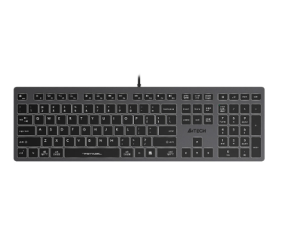 A4Tech Fstyler FX60 (FX60 GREY / WHITE)