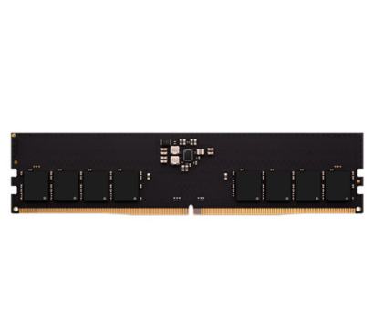 AMD Radeon 16GB DDR5 4800 DIMM (R5516G4800U1S-U)