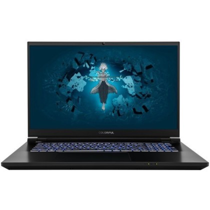 Colorful EVOL X17 Pro Max Intel Core i9 14900HX 2200MHz/17.3"/2560x1440/32GB/2048GB SSD/NVIDIA GeForce RTX 4090 16GB/Wi-Fi/Bluetooth/Windows 11 Home (A10205400063) Black