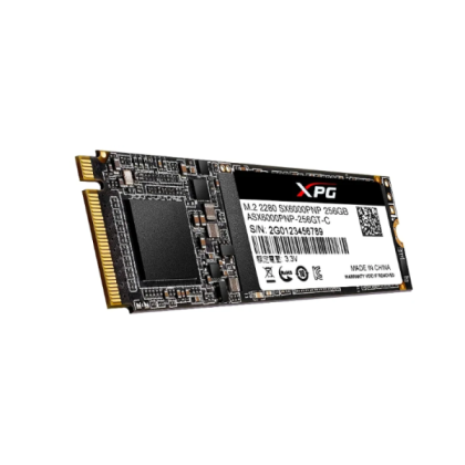 ADATA XPG SX6000 Pro 256GB (ASX6000PNP-256GT-C)