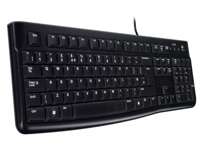 Logitech Keyboard K120, USB, black (920-002522)