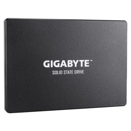 GIGABYTE SSD 256GB (GP-GSTFS31256GTND)