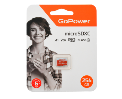 GoPower 256Gb MicroSD (00-00025684)