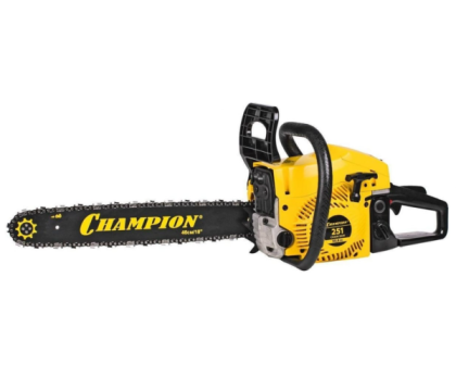 Champion 251-18