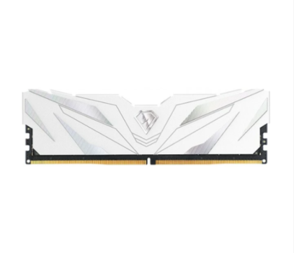 Netac Shadow II 8Gb DDR5 4800MHz (NTSWD5P48SP-08W)