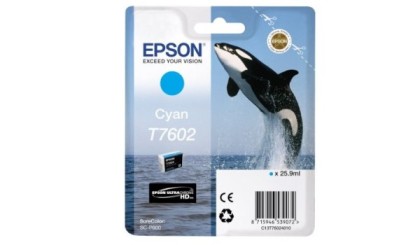 Epson C13T76024010