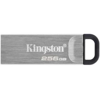 Kingston 256GB (DTKN/256GB)