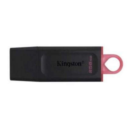 Kingston DataTraveler Exodia 256GB (DTX/256GB)