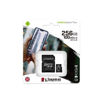 Kingston SDCS2/256GB