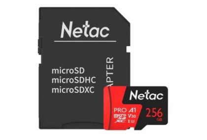 Netac NT02P500PRO-256G-R