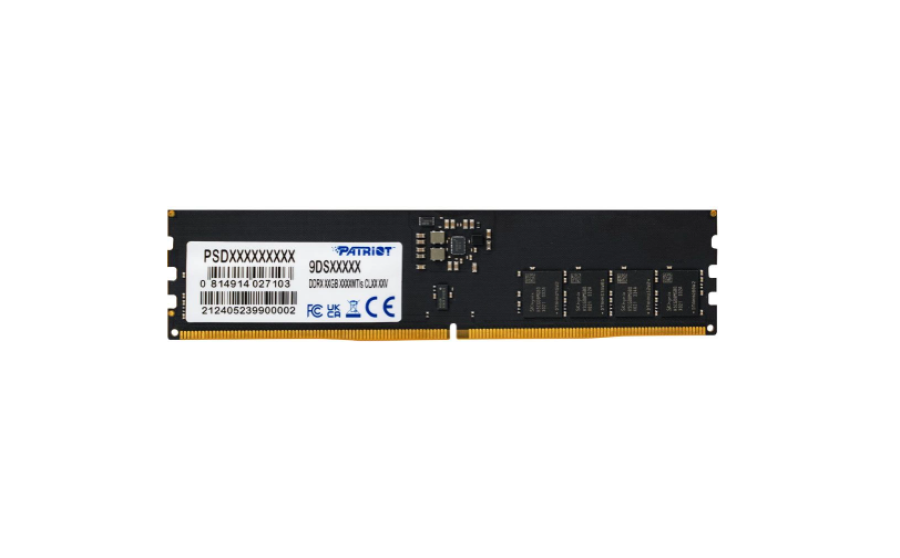 Patriot Signature 32GB DDR5 6400MHz DIMM (PSD532G6402C)