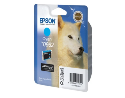 Epson C13T09624010