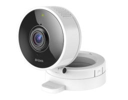 D-Link DCS-8100LH