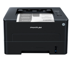 Pantum P3020D