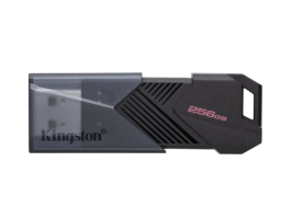 Kingston DataTraveler Exodia Onyx DTXON 256ГБ (DTXON/256GB)