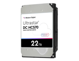 Western Digital Ultrastar DC HC570 22Tb SAS (WUH722222AL5204)