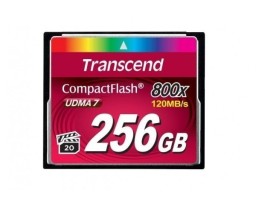 Transcend TS256GCF800 (TS256GCF800)