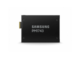 Samsung PM1743 1.92Tb  (MZWLO1T9HCJR-00A07)