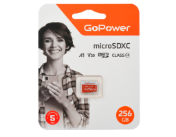 GoPower 256Gb MicroSD (00-00025684)
