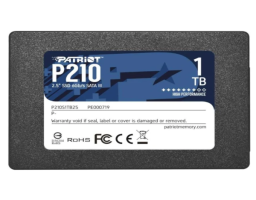 Patriot Memory 1Tb (P210S1TB25)