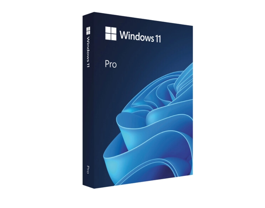 Microsoft Windows 11 Pro 64-bit English Intl USB (HAV-00162)
