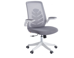 Chairman CH565 (7146049) Grey
