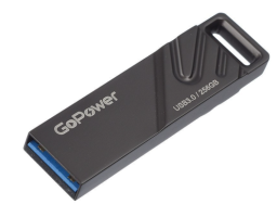 GoPower TITAN 256Gb (00-00027356) Black