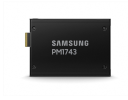 Samsung PM1743 15.36Tb (MZWLO15THBLA-00A07)