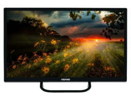 Asano 24" 24LH1110T