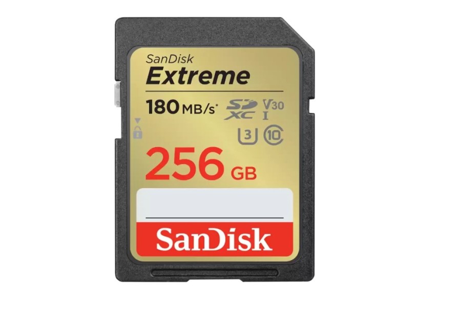SanDisk Extreme 256Gb SD (SDSDXVV-256G-GNCIN)