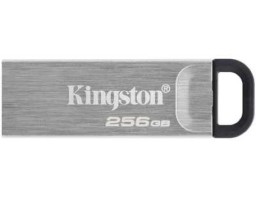 Kingston 256GB (DTKN/256GB)