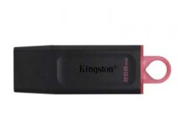 Kingston DataTraveler Exodia 256GB (DTX/256GB)