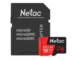 Netac NT02P500PRO-256G-R